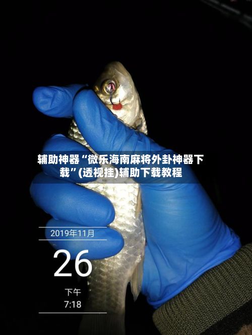 辅助神器“微乐海南麻将外卦神器下载	”(透视挂)辅助下载教程-第2张图片